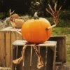 Joyfy Bendable Pumpkin Arms And Legs, Halloween Decorations For Pumpkin, Set Of 4 Party Decor Includes 2 Arms And 2 Legs Pumpkin Stake Supplies