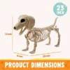 Joyfy 24” Halloween Posable Animal Wiener Dog Skeleton Decor Dog Plastic Bones With Movable Joints For Graveyard Haunted House Party Prop