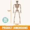 Joyfy 1/2/5/10 PCS 16" Posable Skeleton Halloween Decorative Props For Indoor/Outdoor Halloween Decorations Graveyard Haunted House Spooky Scene Party