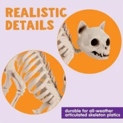 Joyfy 2 PCS Halloween Poseable Animal Cats Skeleton Decor, Cats Plastic Bones With Posable Joints For Graveyard Party Prop Decor(7 * 7.9 * 3 Inches)